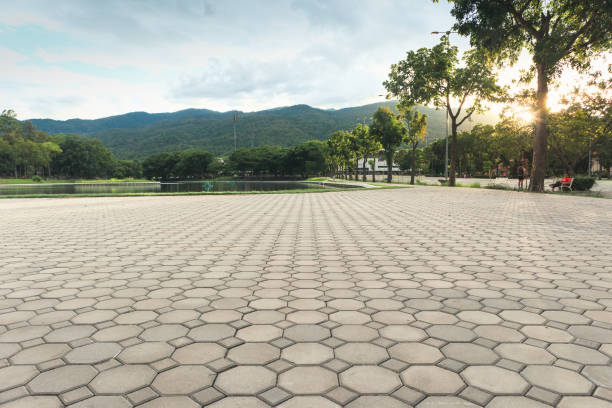 Best Concrete Paver Driveway  in St Bonifacius, MN