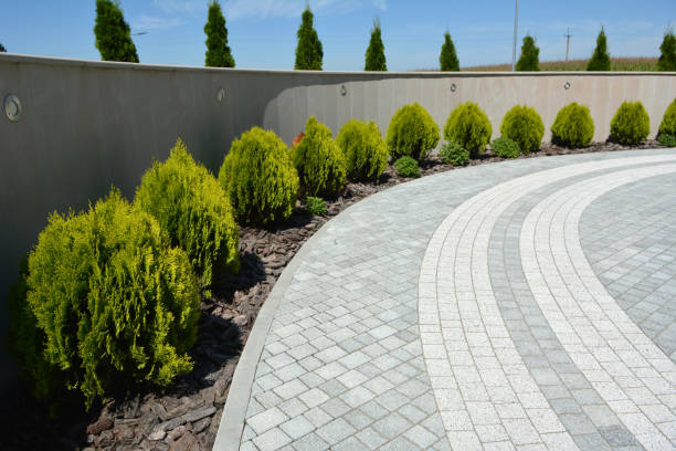 Best Permeable Paver Driveway  in St Bonifacius, MN
