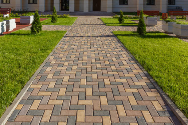 Best Driveway Repair Near Me  in St Bonifacius, MN
